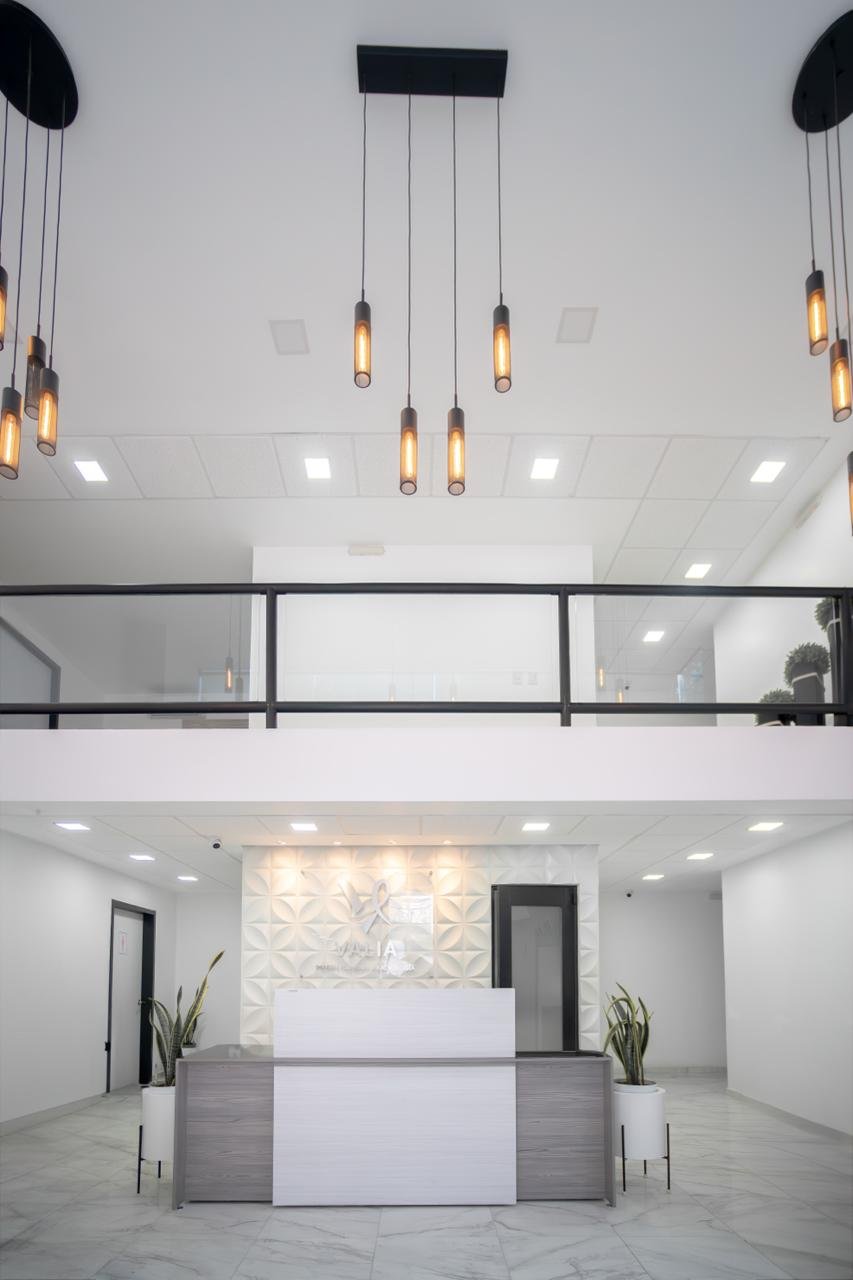 Recepción interior con paredes blancas, escritorio blanco, iluminación moderna y plantas decorativas